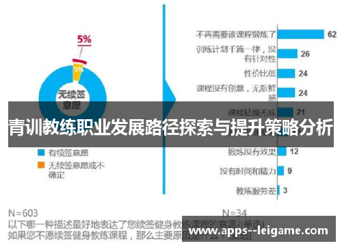 青训教练职业发展路径探索与提升策略分析