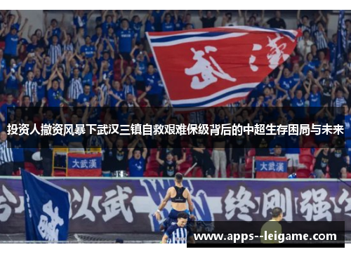 投资人撤资风暴下武汉三镇自救艰难保级背后的中超生存困局与未来